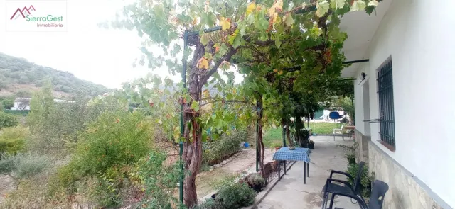 VENTA PARCELA CON CASA EN TAVIZNA - foto 2