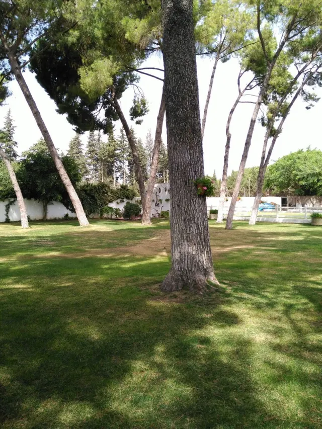 FANTÁSTICO CHALET EN LA JARA — 8
