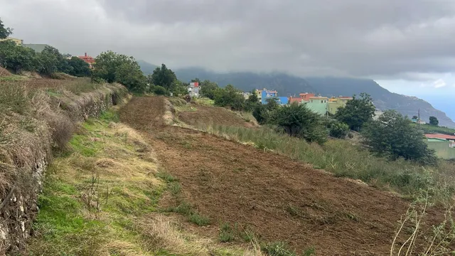 SE VENDE TERRENO RÚSTICO EN LOS REALEJOS – TENERIFE - foto 3