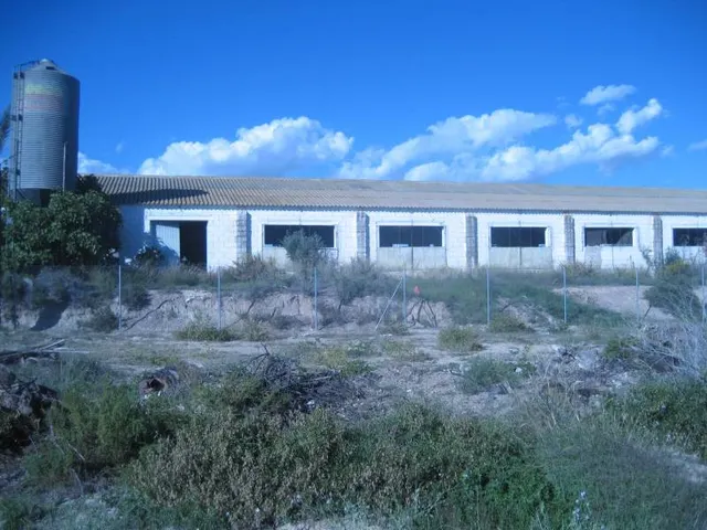 Solar Urbano de 5900 m2 con una nave- almacén de 843 m2 en s - foto 5