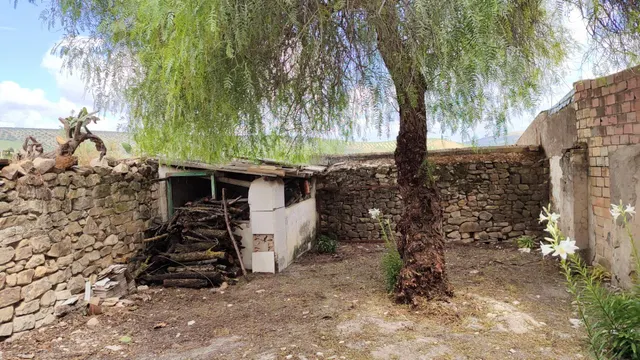 Venta de casa de campo y olivar — 4
