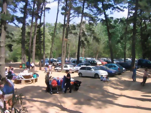 Finca rústica de 9 hectáreas en Arenys de Munt — 15