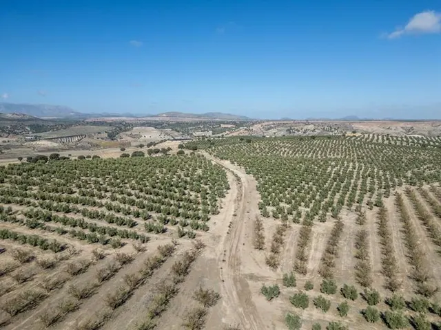IMPRESIONANTE OPORTUNIDAD DE INVERSIÓN EN ALAMEDILLA!! — 19