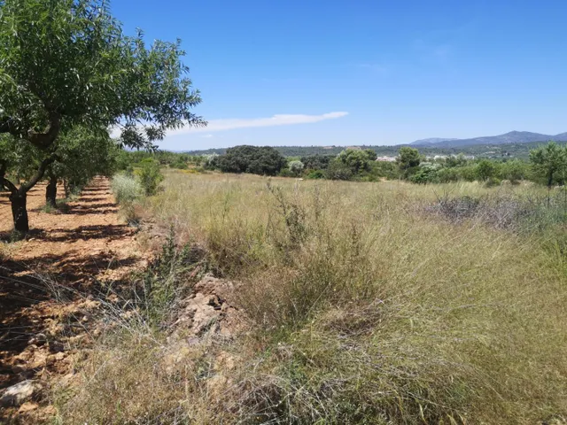 FINCA RUSTICA SECANO — 2