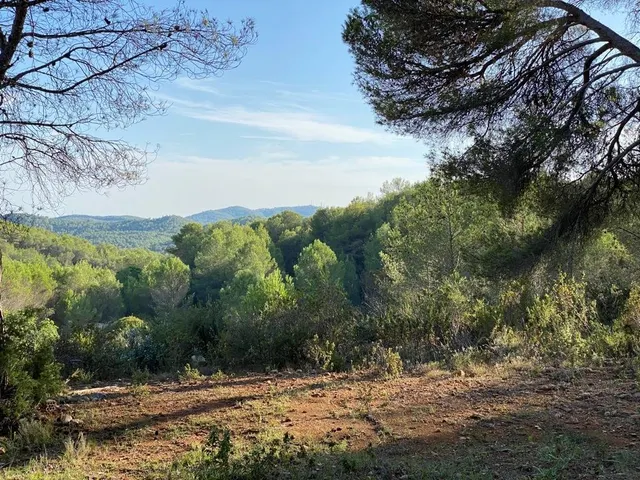 OPORTUNIDAD ENORME TERRENO EN VENTA POR 150.000€ — 29