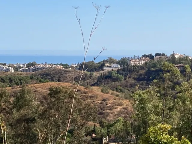 Parcela exclusiva 25.000 m2 en Mijas Costa del Sol - foto 2