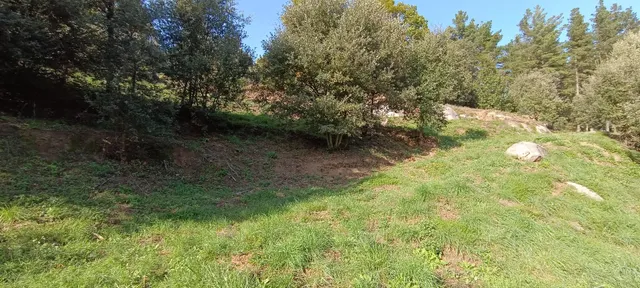 Parque natural del montseny (afueras riells): masía típica catalana catalogada a reformar — 35