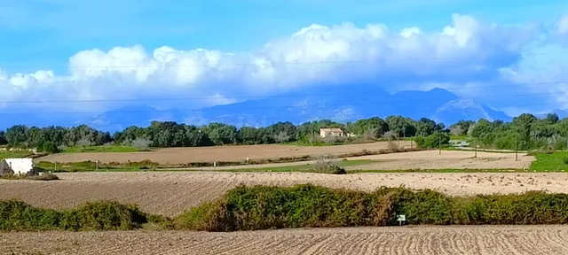 Finca rústica con vistas a la Serra de Tramuntana en Muro - foto 2