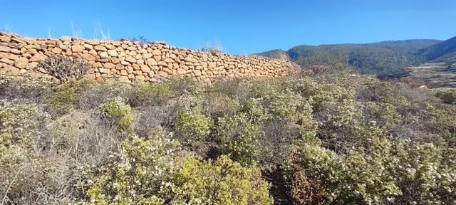 FINCA AGRÍCOLA EN GRANADILLA DE ABONA. - foto 2