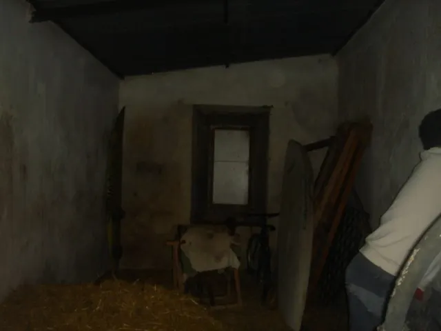 Se vende finca ceca de Tarifa — 3