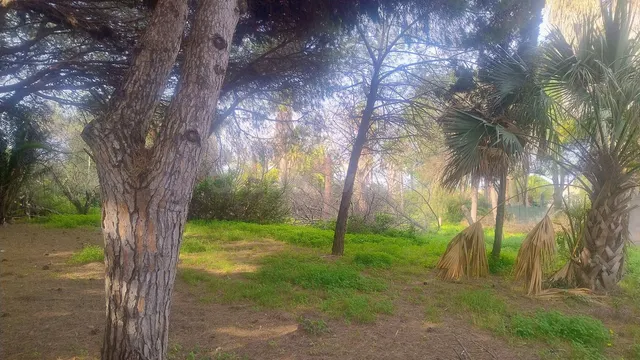 Parcela 727m² en venta - Marbella — 2
