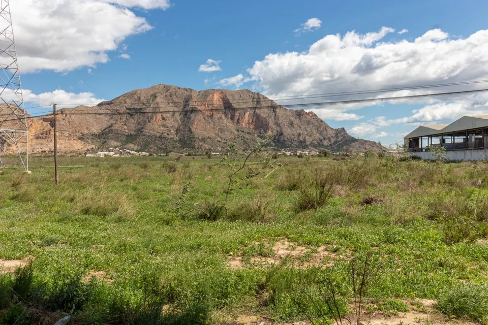 TERRENO DE 13.950 M2 EN ORIHUELA - ZONA POLÍGONO PUENTE ALTO