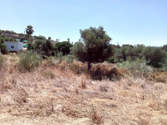 PARCELA EN URBANIZACIÓN SAN BENITO ABAD, CASTIBLANCO DE LOS  - foto 3