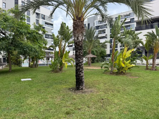 Piso 3 habitaciones 108m² en venta - San Blas - foto 3