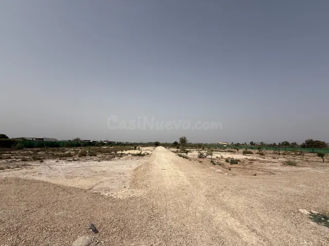 Terreno rústico en venta – La Hoya (Elche), con proyecto bás