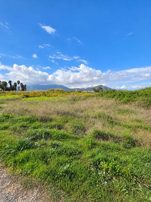 Finca rústica de 6.705 m2 en la zona de els ullals de baltasar, Amposta — 5