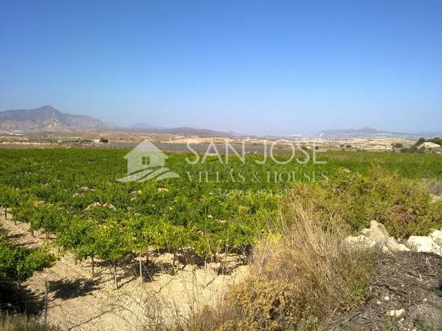 Inmobiliaria San Jose vende parcela en Novelda, Costa Blanca - foto 2