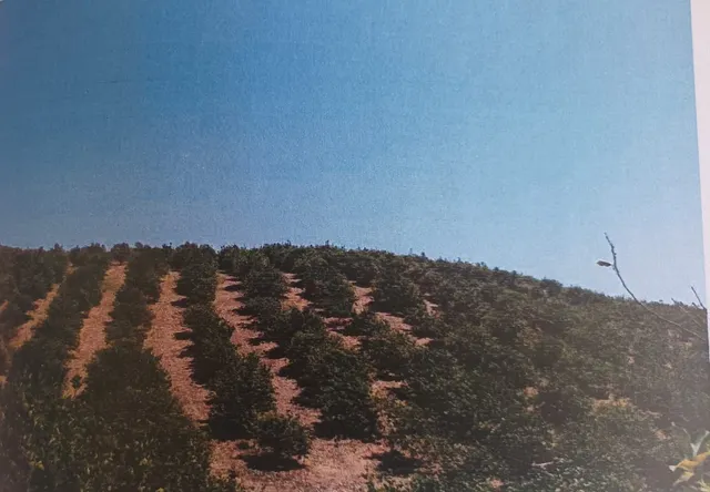 Parcela en venta - Alora pueblo — 6