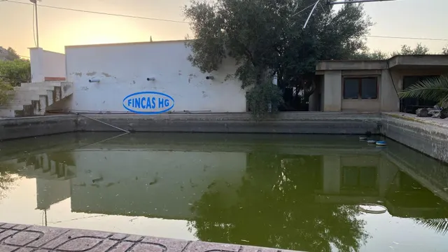 Típica casa tradicional de campo situada sobre terreno URBANO!  de 3900m2 — 8