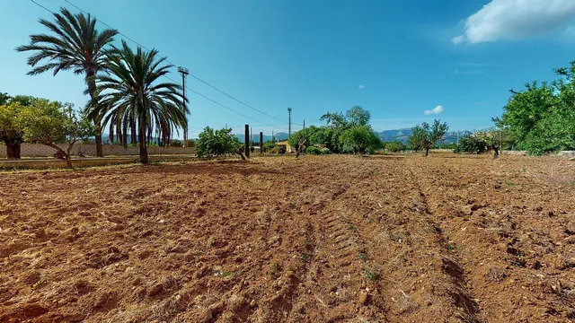 Finca Rustica La Garriga, Son Sardina, Palma — 6