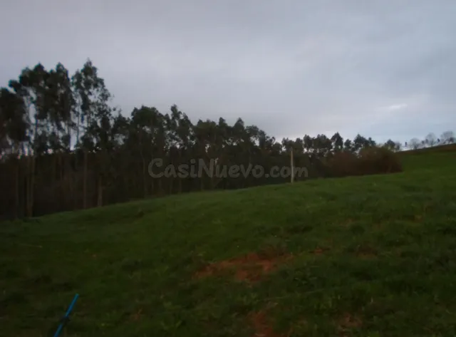 TERRENO EN VENTA ( CON EUCALIPTO) - foto 5