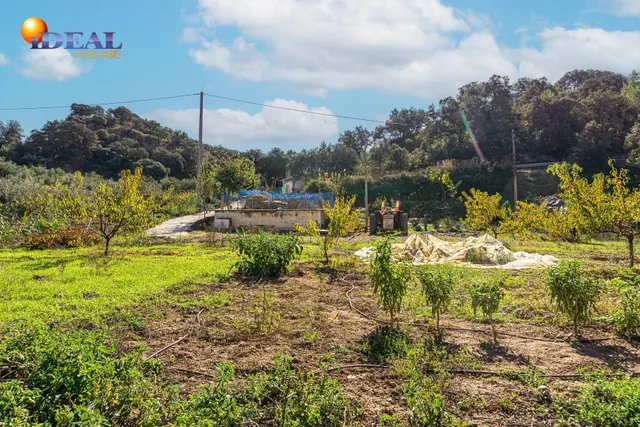 ESPECTACULAR CASA CON TERRENO EN LA SIERRA SUR — 42