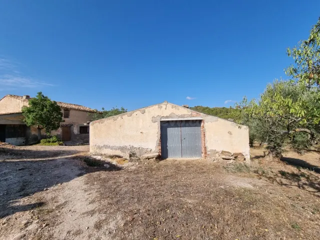 Tenemos en la zona de Tivissa un Almacen con muchas posibili - foto 2