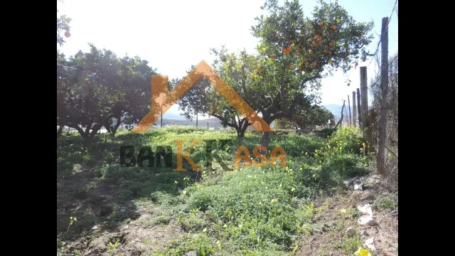 SE VENDE TERRERENO RURAL EN BERJA CON CORTIJO — 11