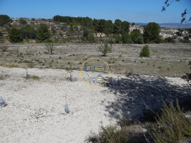 TERRENO EN PRODUCCIÓN CON PEQUEÑA CONSTRUCCIÓN EN PALOMAR(VALENCIA) — 3