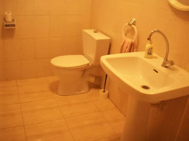 Local Comercial Avda. Conde Torrefiel 1-A — 5
