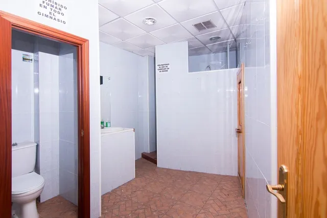 Local comercial en el centro (Plaza Gran Capitán) — 13