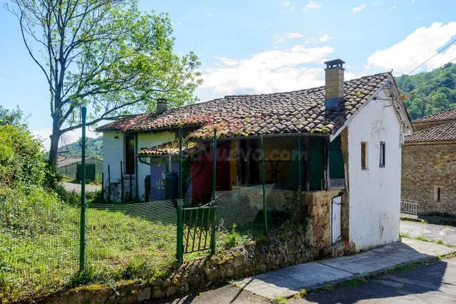 Encantadora casa independiente con jardín en el corazón de S