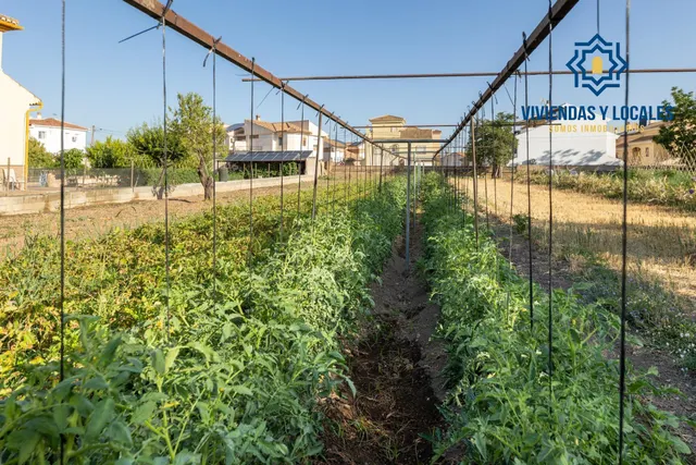 TERRENO URBANO 1060m EN LA ZUBIA — 13