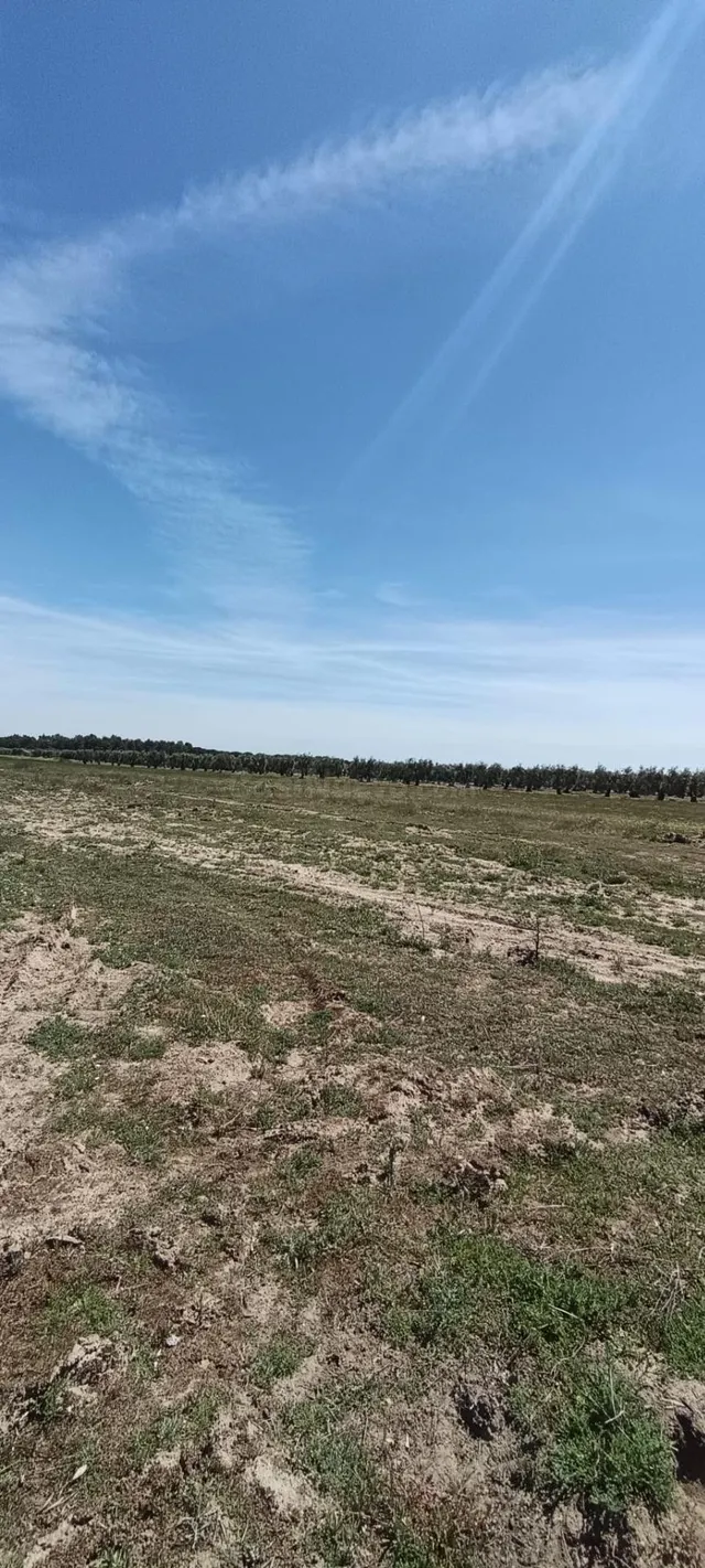 Finca rústica en Villamanrique de la Condesa (Sevilla) con 6
