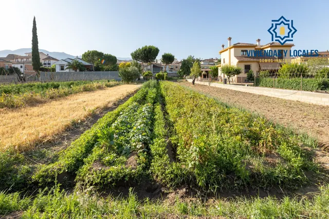 TERRENO URBANO 1060m EN LA ZUBIA — 3
