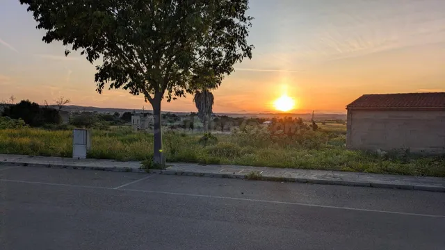 Solar Urbano de 933M EN Montuiri - foto 2