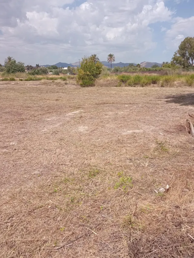 Parcela Rústica de 3.700m2 con Agua de Riego a 4,5 km de Mutxamel y a 9 km de la Playa — 5