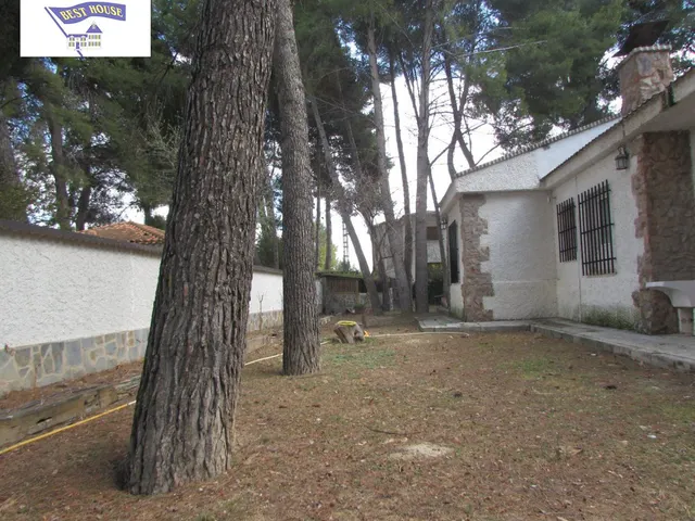 CHALET CON 2000 M2 DE PARCELA — 28