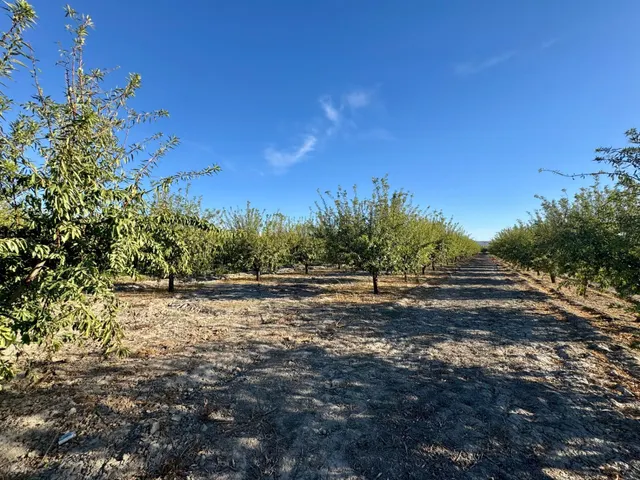 TERRENO RÚSTICO EN VENTA EN CHAUCHINA – 3.146 m2 CON POZO Y construcciones — 9