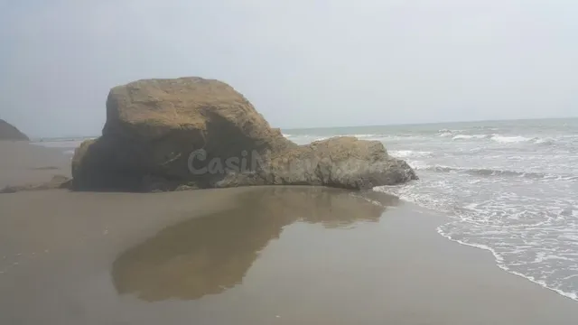 Venta de terreno con playas en sector de Punta Canoa - foto 4