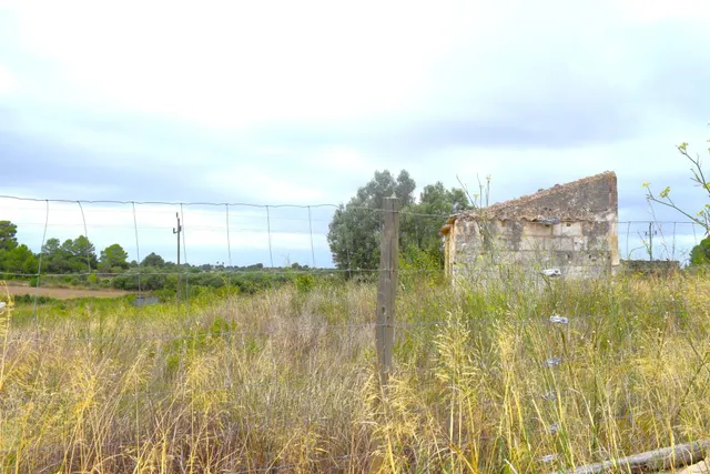 Finca rústica con proyecto básico de vivienda con piscina en - foto 4