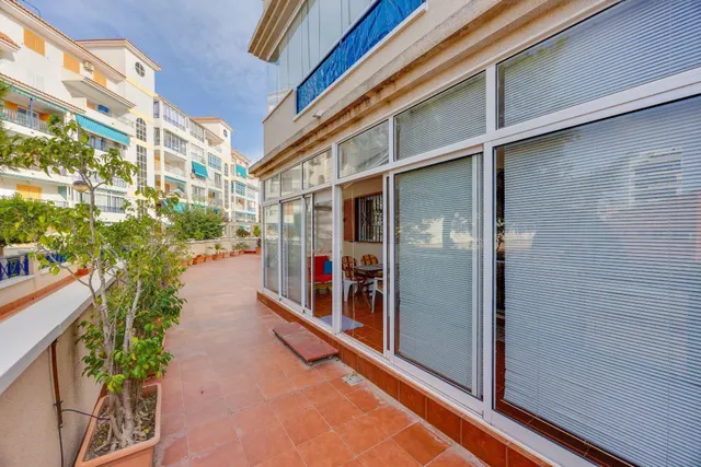 Apartamento 1 habitación 55m² en venta - La Siesta - El Salado - Torreta — 8