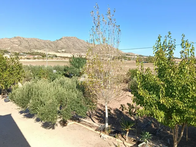 SE VENDE CHALET EN BUEN ESTADO EN ASPE ZONA CARRETERA DE LA ROMANA — 34