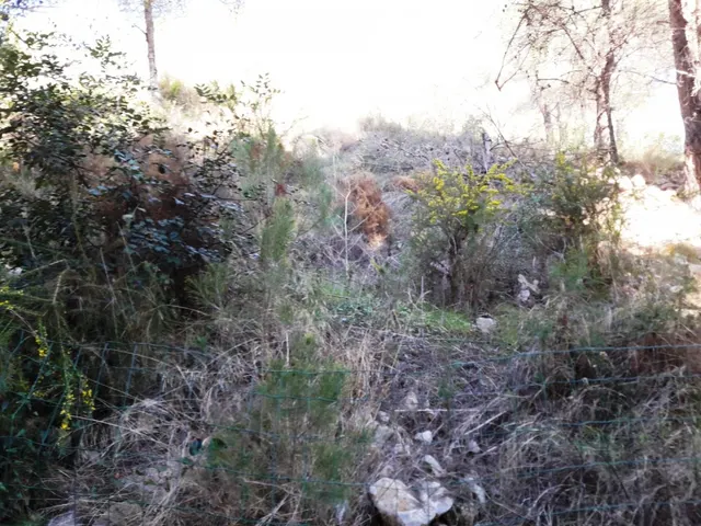 PARCELA DE 947 m2 EN COSTA CUNIT - TARRAGONA — 9