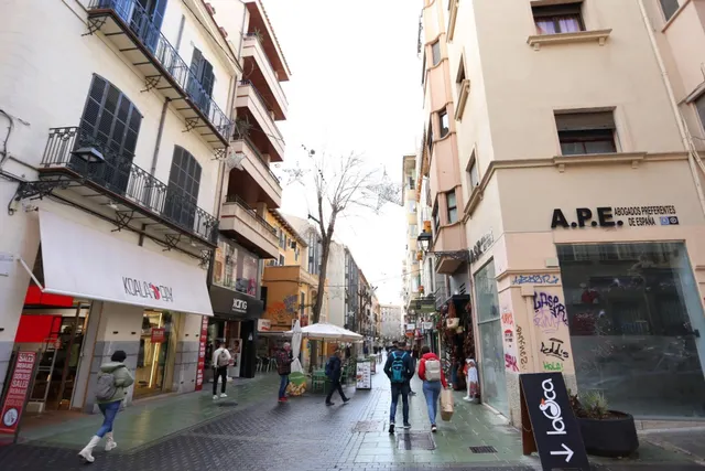SE ALQUILA DESPACHO-OFICINA EN EL CENTRO DE PALMA — 14