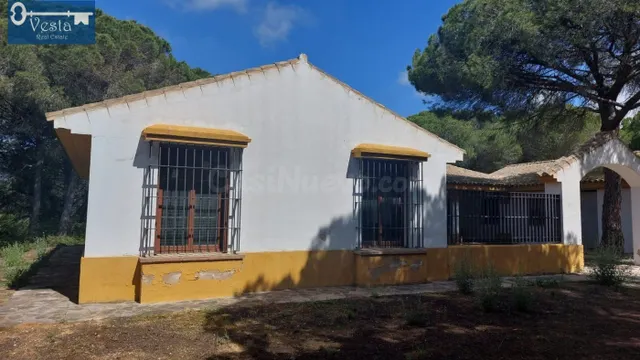 GRAN FINCA EN PUERTO REAL - foto 3
