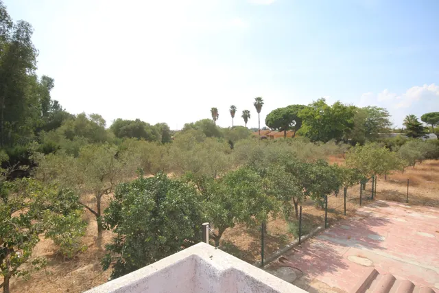 Excepcional Finca Rústica Recién Reformada con Piscina y 5.200 m2 de Parcela en El Pintado, Gibraleón — 12