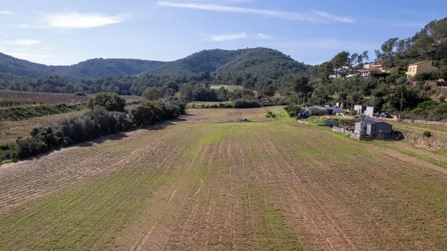 Finca Rústica de 20.000m2 con vivienda en venta. — 3