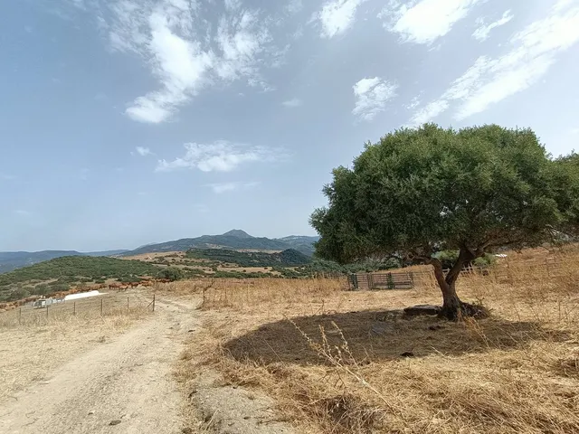 Finca Agrícola 800m² en venta - Riviera del sol — 20