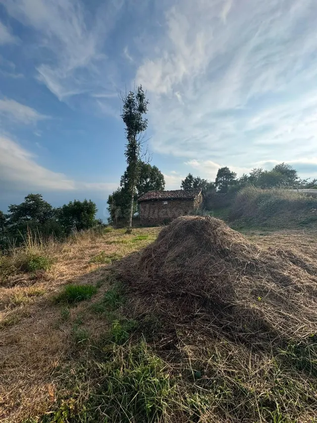 ️ ¡SE VENDE CABAÑA TRADICIONAL CON FINCA DE 6.599 m2 EN SALC - foto 3